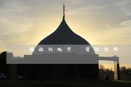 穗法刑执字 贷款逾期